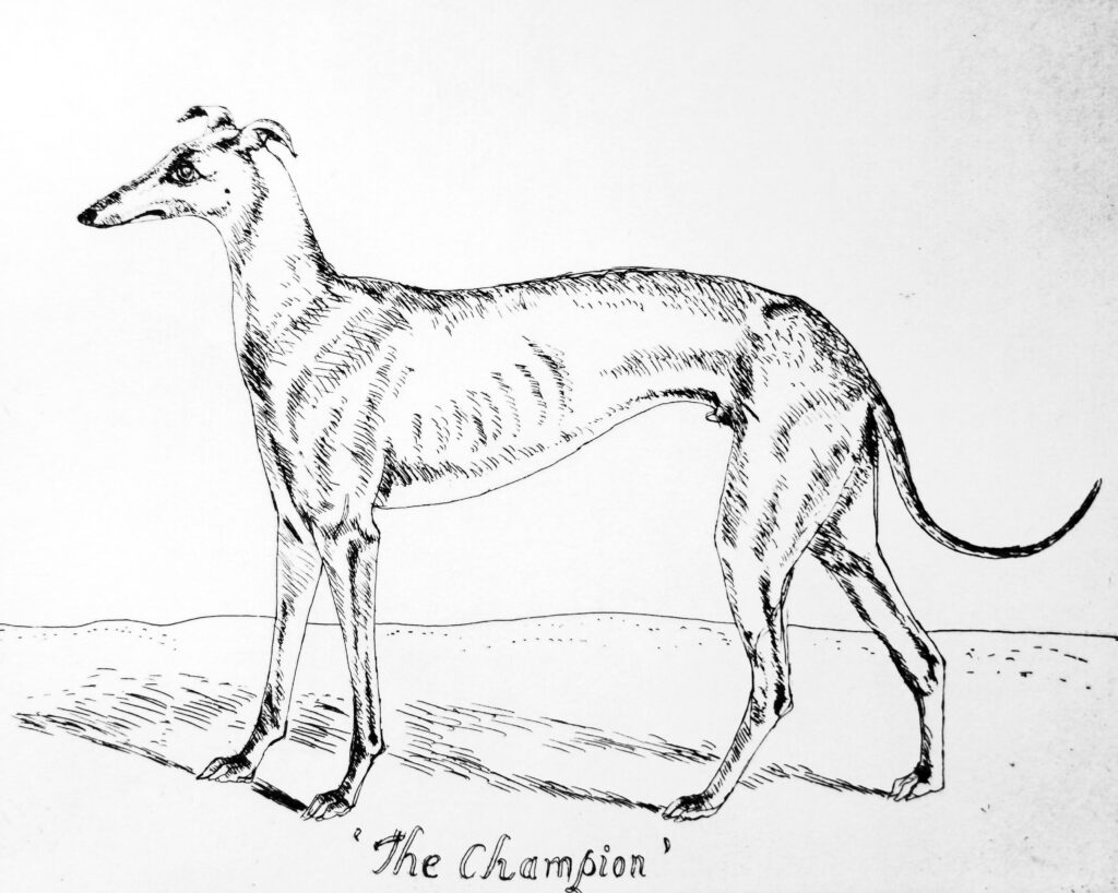 Article image for Elizabeth Blackadder | The Champion, Etching, 1997