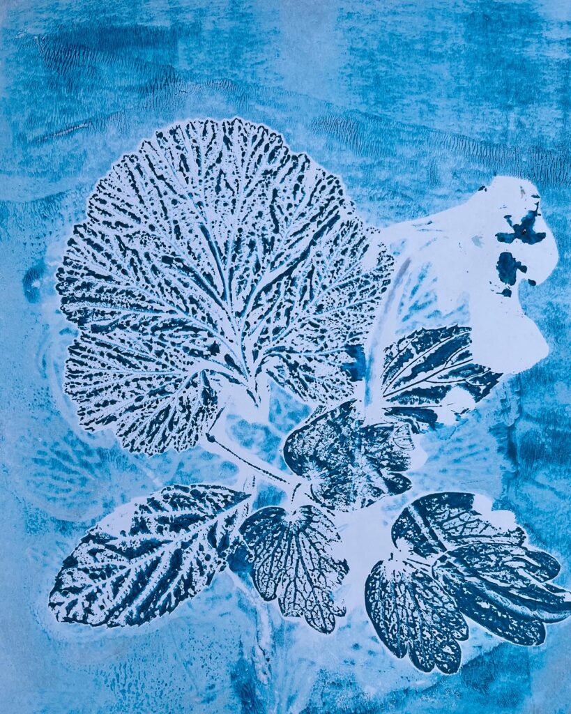 A print of leaves